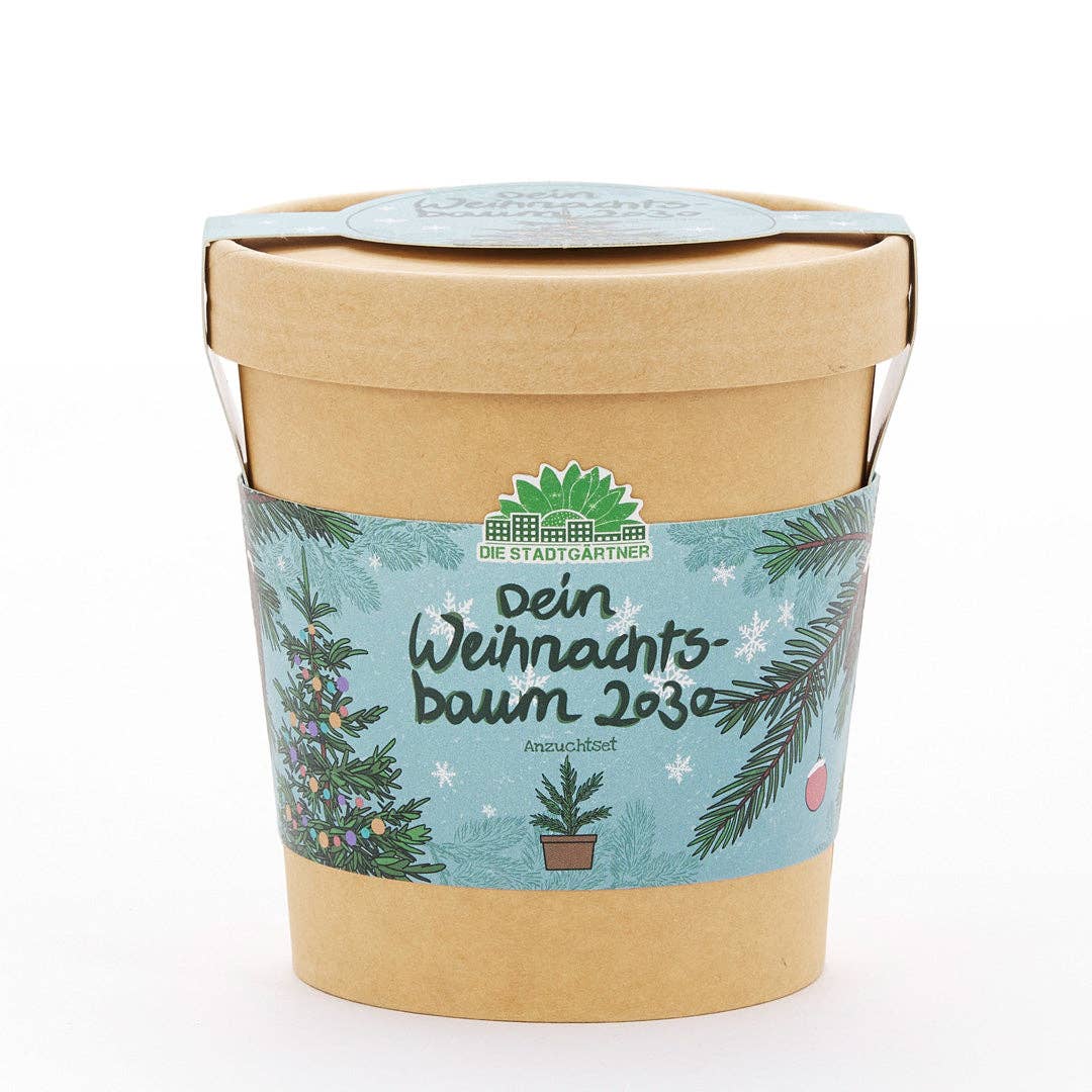 Božično drevesce v lončku