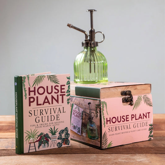 Darilni paket: Houseplant Survival Guide 🌱