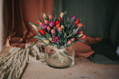 STRAUSS "MIX TULPA".