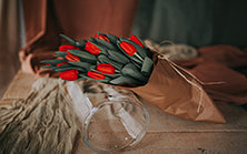 ŠOPEK » RDEČA TULPA«