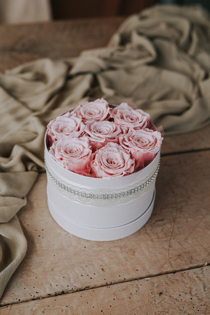 BOX OF ROSES »Mislim nate«