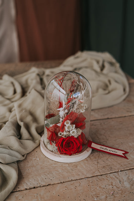 CVETLIČNA PRAVLJICA POD STEKLENO KUPOLO Medium »Red«