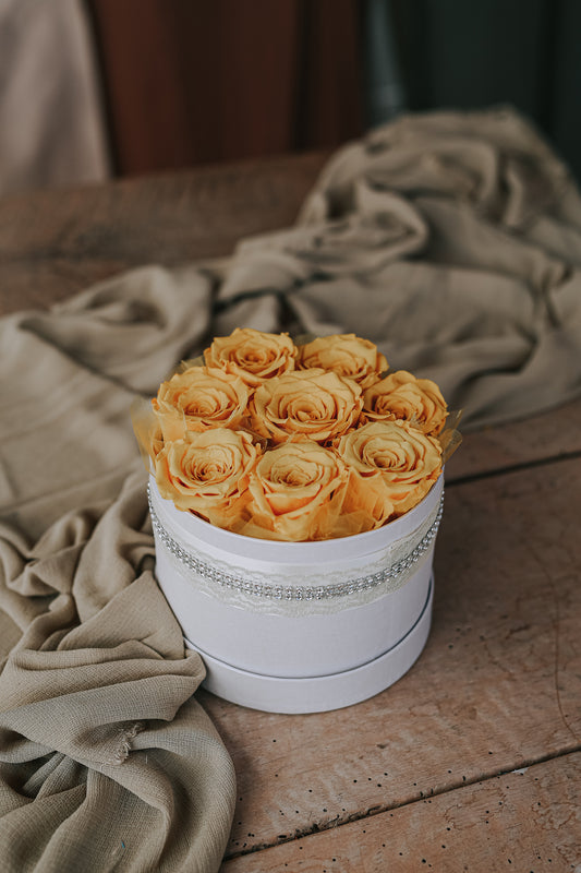 BOX OF ROSES "Pomeniš mi vse na svetu"